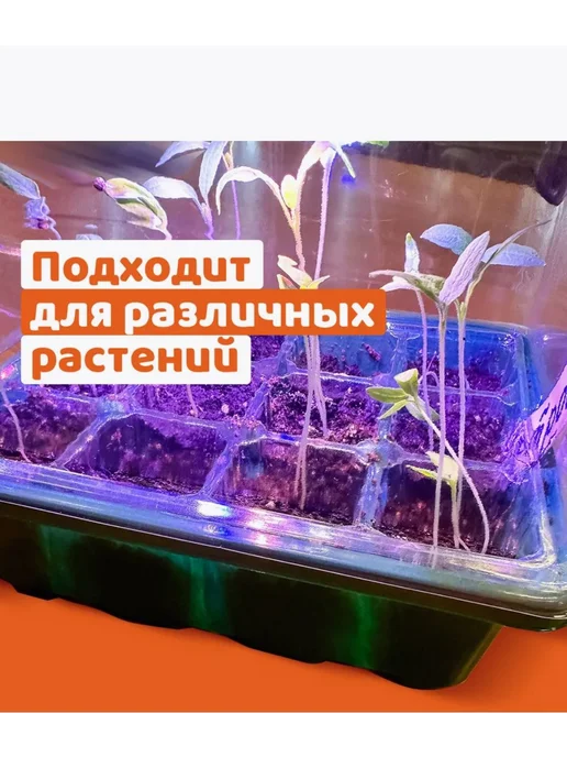 Набор для выращивания Белый, белый, фото 3