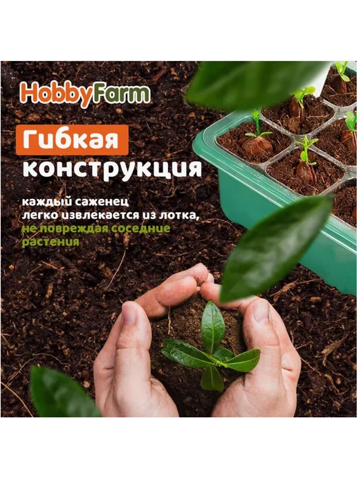 Набор для выращивания Белый, белый, фото 8