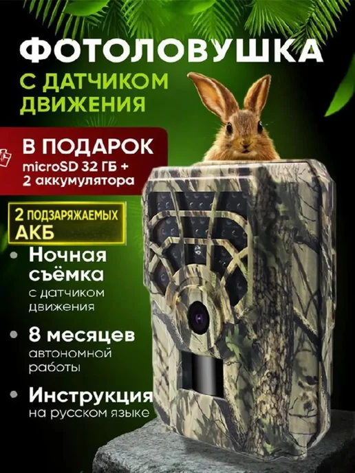 Фотоловушка для охоты и дачи с датчиком движения и флешкой, вариант