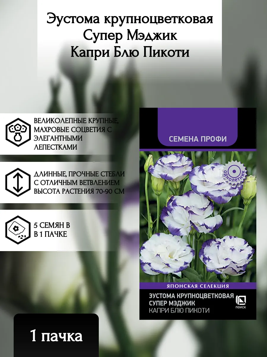 Эустома Супер Мэджик Капри Блю Пикоти, 1 пачка