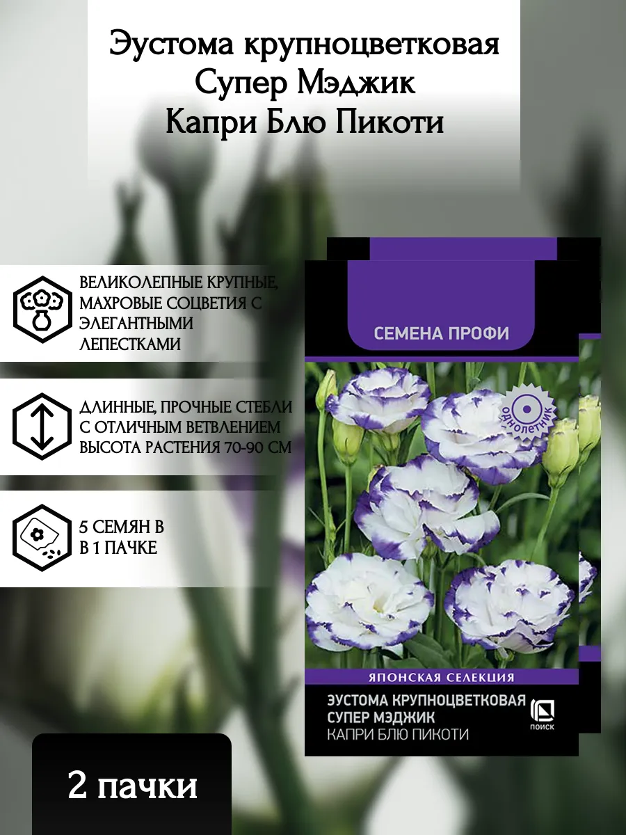 Эустома Супер Мэджик Капри Блю Пикоти, 2 пачки