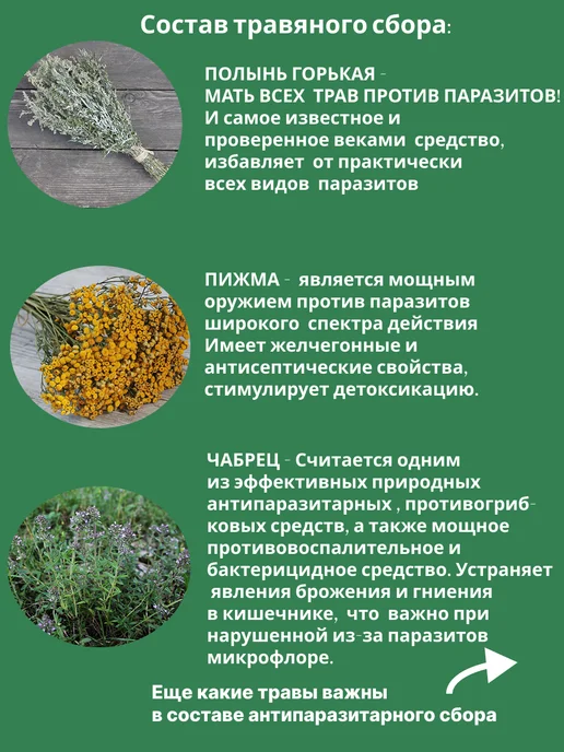 Сорокины Травы Антипаразитарный травяной сбор, вариант, фото 3