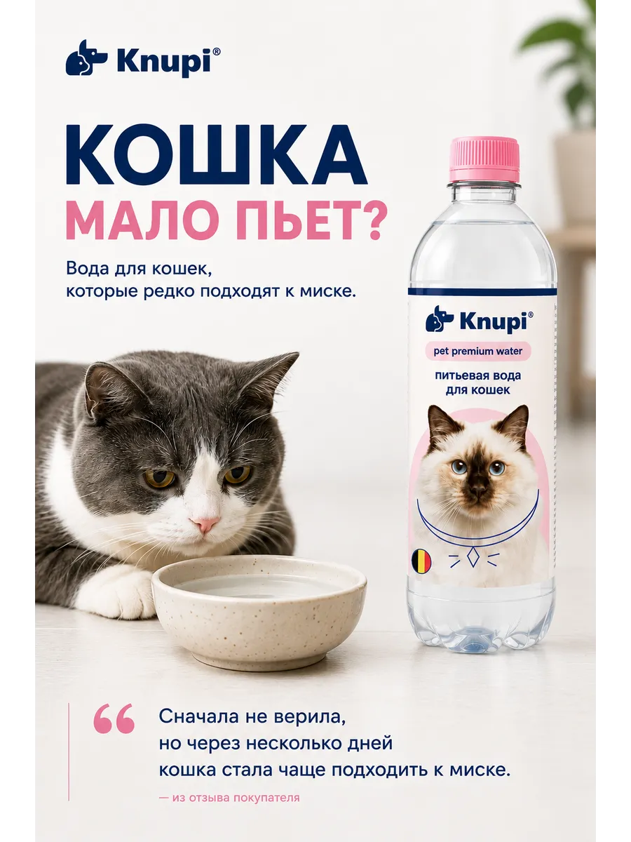 Вода для кошек питьевая 1 шт по 0,8л