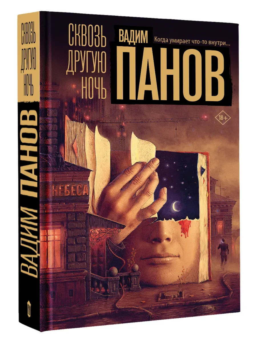 Сквозь другую ночь