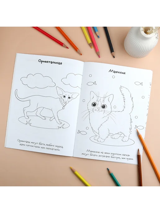 Феникс+ Раскраска с наклейками для детей, вариант, фото 4