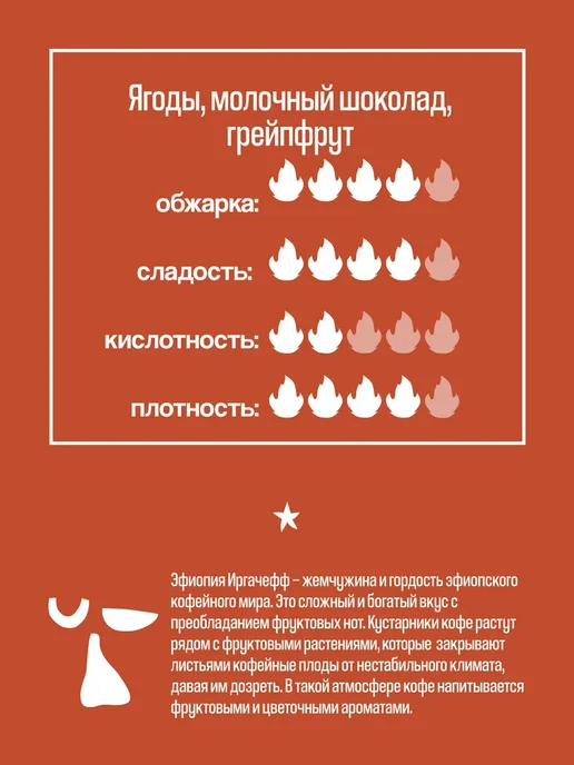 Papa Roast Дрип кофе молотый Эфиопия Иргачефф 10 шт, 20 шт, фото 3