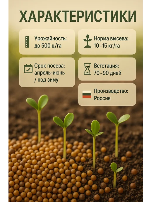 Горчица семена сидерат 1 кг, 1 кг, фото 3