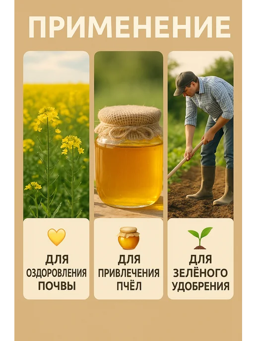 Горчица семена сидерат 1 кг, 1 кг, фото 4