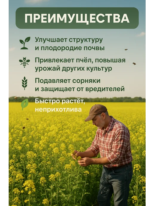 Горчица семена сидерат 1 кг, 1 кг, фото 5