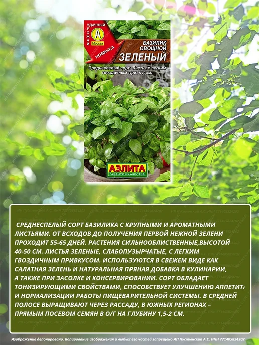 Семена базилик для дома сада посадки, вариант, фото 3