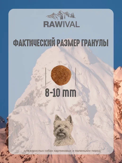 Сухой корм Rawival Карликовых Мал. для собак, лосось, 2,5 кг, фото 6