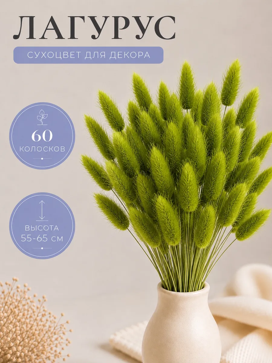 Лагурус сухоцветы для декора и творчества букет 60шт