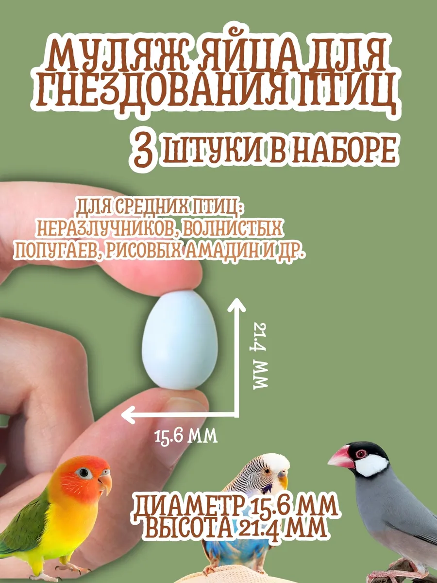 Подклад яйца 3 шт (N 5), для гнездования попугаев