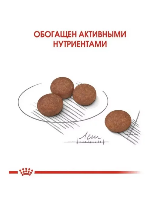 Сухой корм РОЯЛ КАНИН Digestive для собак, мелкие, 3 кг, фото 7