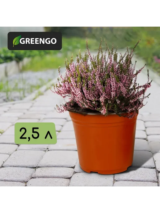Greengo Горшок для рассады 2.5 л d 18 см h 15.5 см, 2,5 л