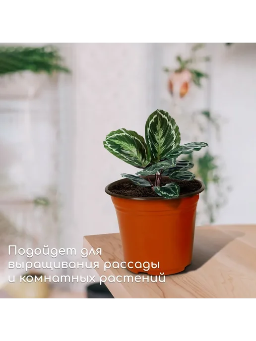 Greengo Горшок для рассады 2.5 л d 18 см h 15.5 см, 2,5 л, фото 3